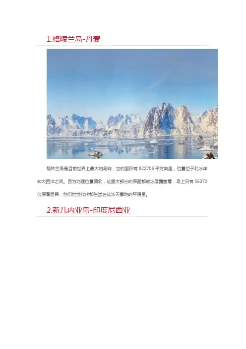 最大的岛屿