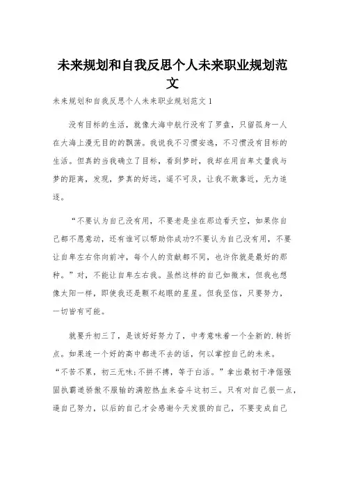 未来规划和自我反思个人未来职业规划范文