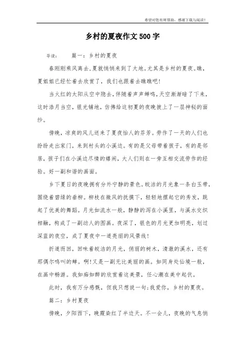 乡村的夏夜作文500字