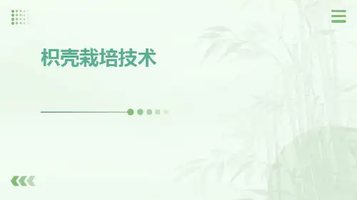 枳壳栽培技术