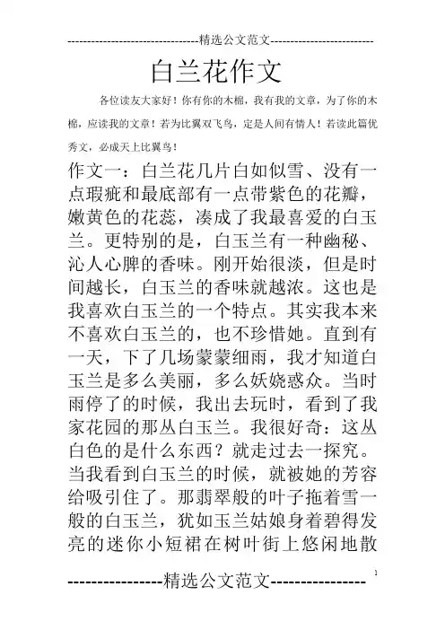 白兰花作文