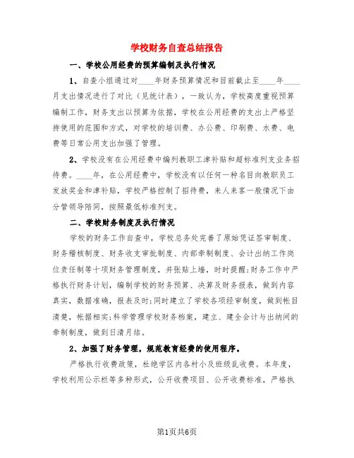 学校财务自查总结报告(3篇)