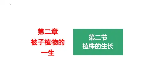 最新人教版七年级生物上册《植株的生长》教学课件