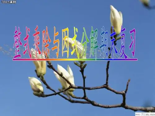 第5、6章 整式乘法与因式分式期末复习