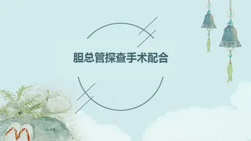 胆总管探查手术配合
