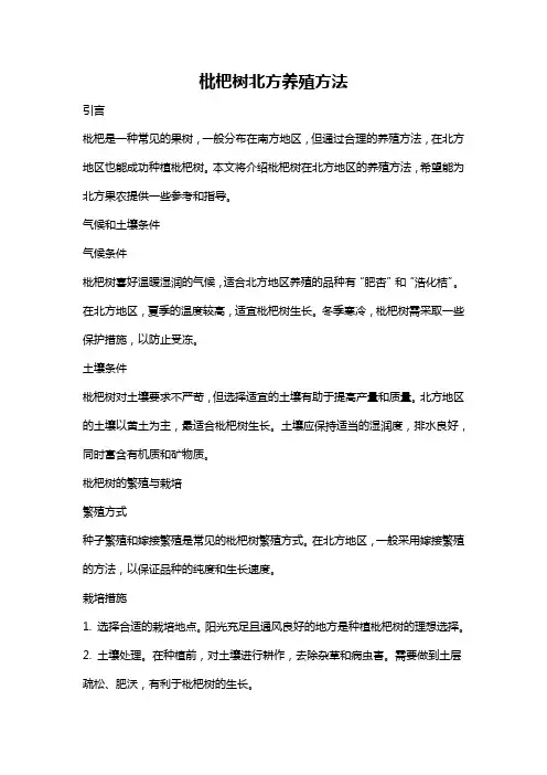 枇杷树北方养殖方法