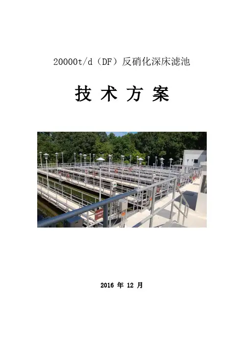 t每天DF反硝化深床滤池设计方案