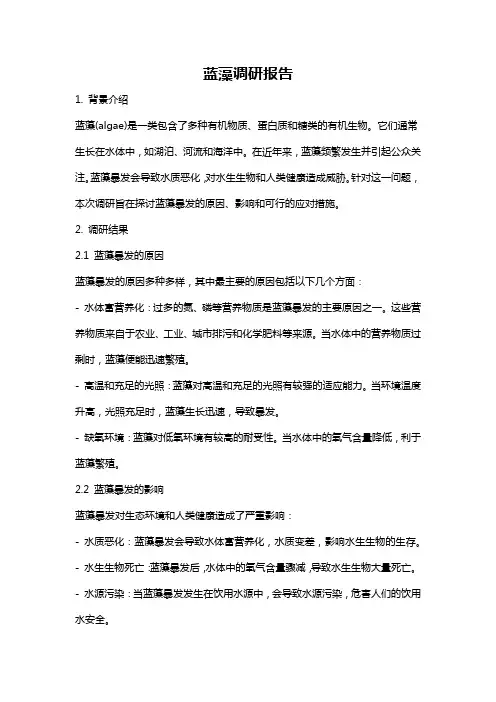 蓝藻调研报告
