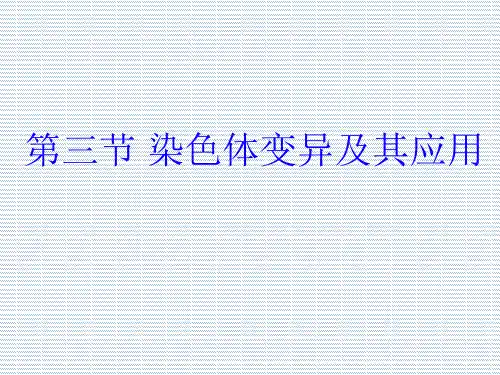 2012高一生物课件3.3《染色体变异及其应用》(苏教版必修2)