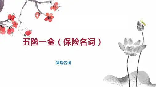 五险一金(保险名词)