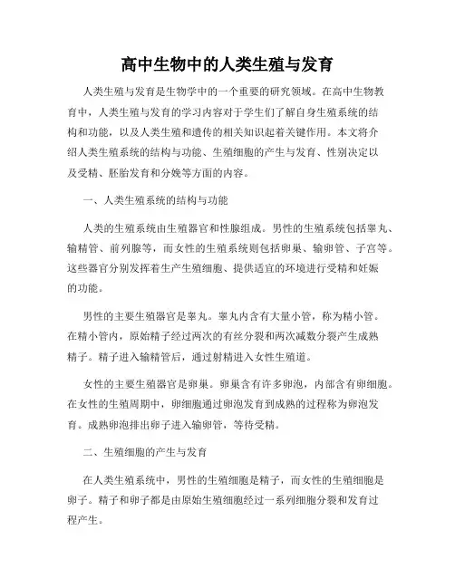 高中生物中的人类生殖与发育
