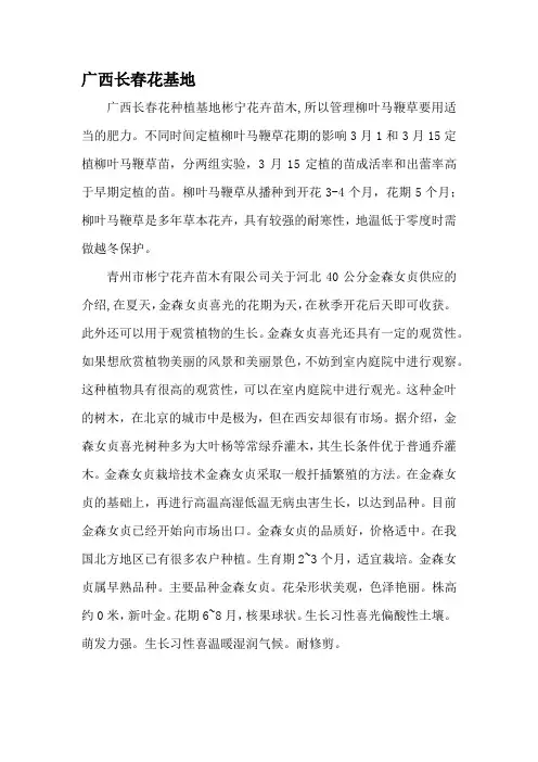 广西长春花基地