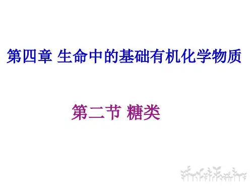 高三一轮复习-化学 选修五《糖类》PPT课件