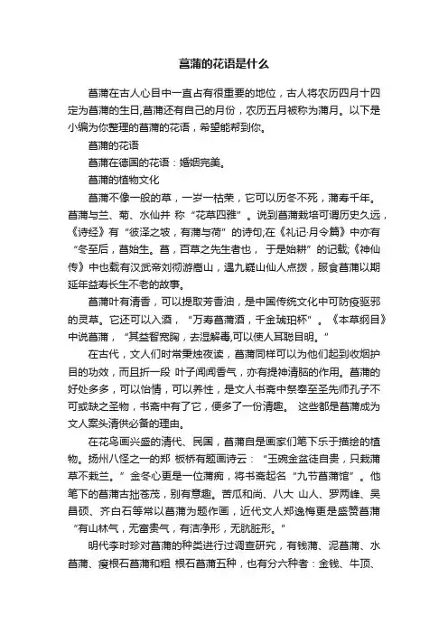 菖蒲的花语是什么
