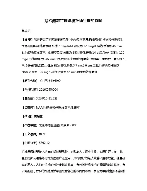 萘乙酸对竹柳嫩枝扦插生根的影响