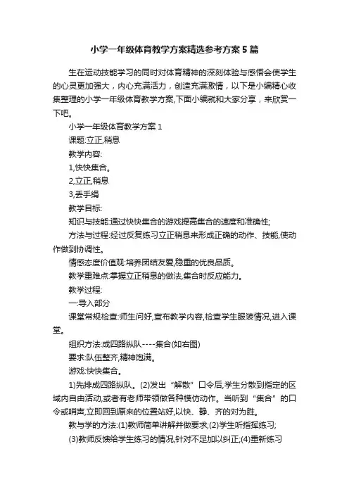 小学一年级体育教学方案精选参考方案5篇