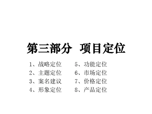项目策划报告之项目定位