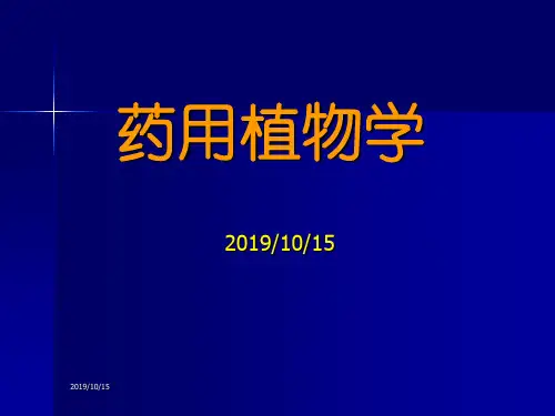 药用植物学ppt课件精品文档
