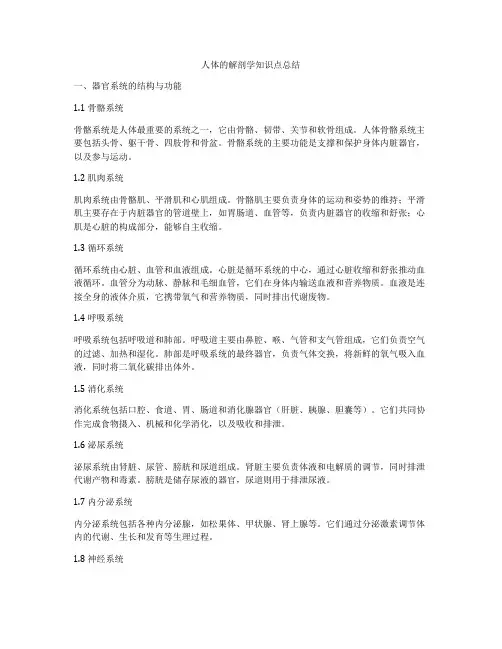 人体的解剖学知识点总结