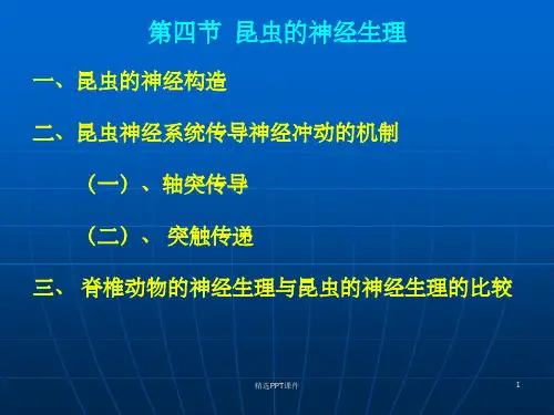 第四节 昆虫的神经生理ppt课件
