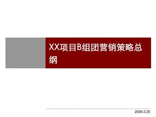 精品文案-湖南长沙某项目营销策略总纲汇报