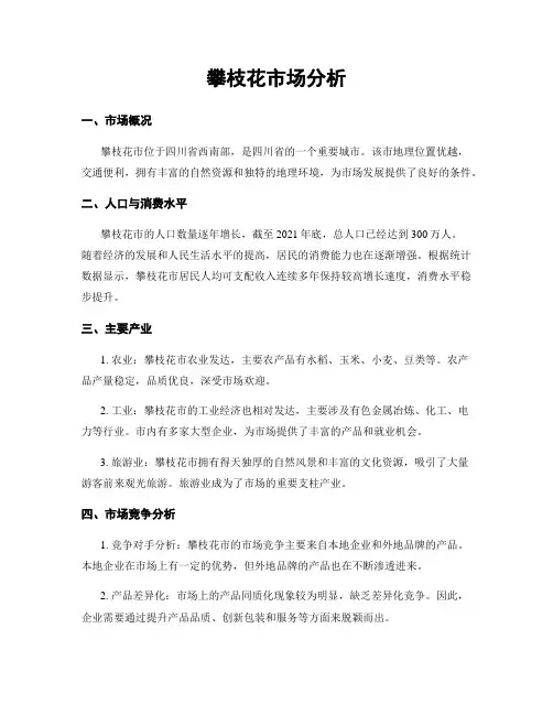 攀枝花市场分析