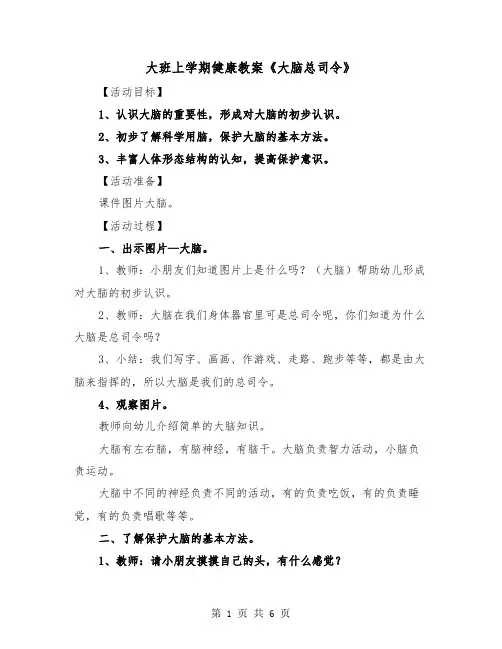 大班上学期健康教案《大脑总司令》（二篇）
