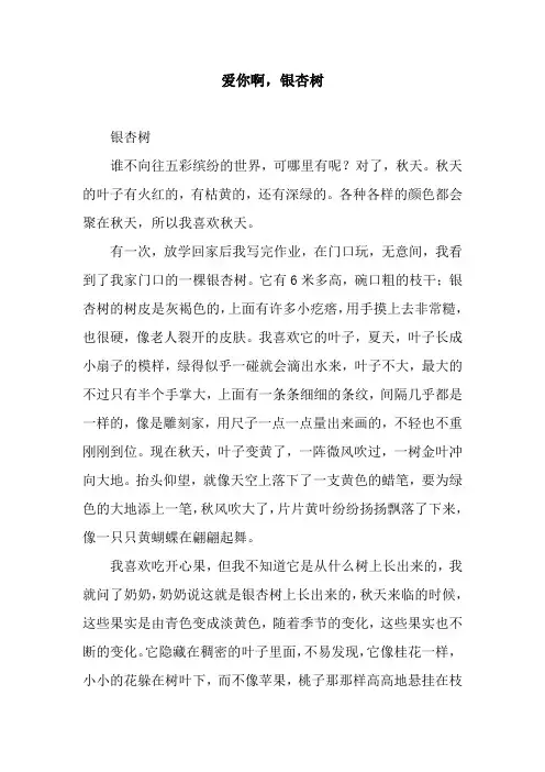 爱你啊,银杏树