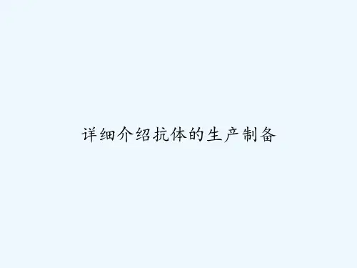 详细介绍抗体的生产制备 PPT