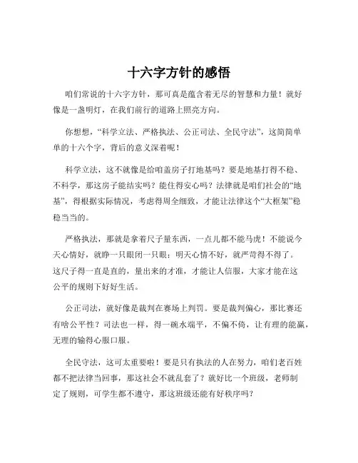 十六字方针的感悟