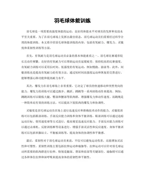 羽毛球体能训练