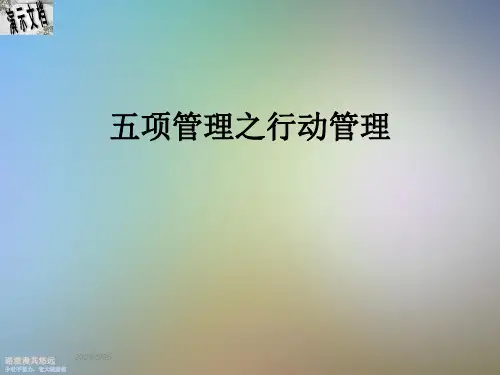 五项管理之行动管理