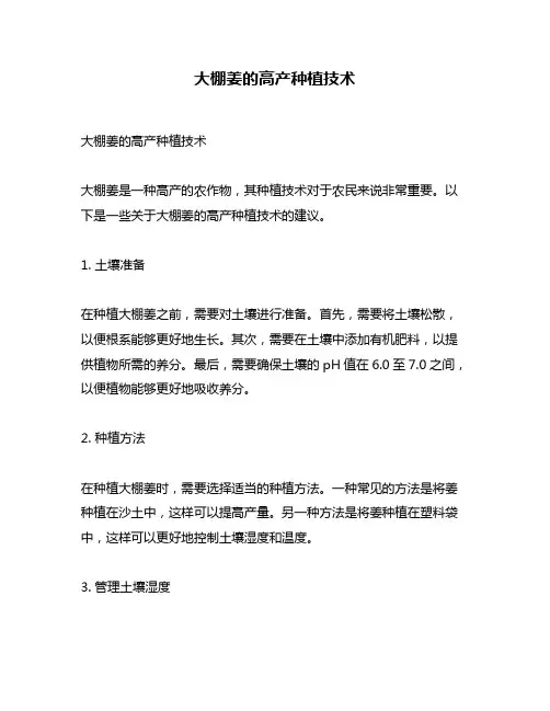 大棚姜的高产种植技术