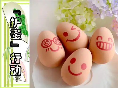 《“护蛋”行动》2  图文