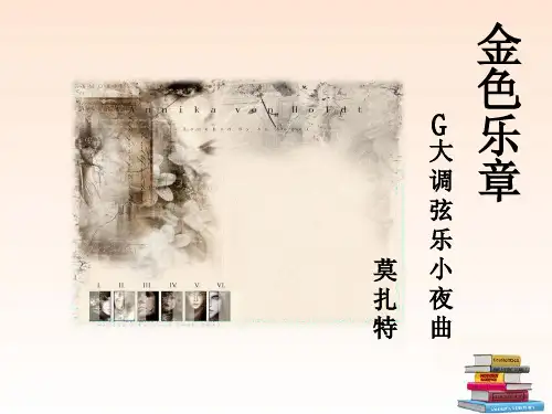 《G大调弦乐小夜曲》初中音乐PPT课件2