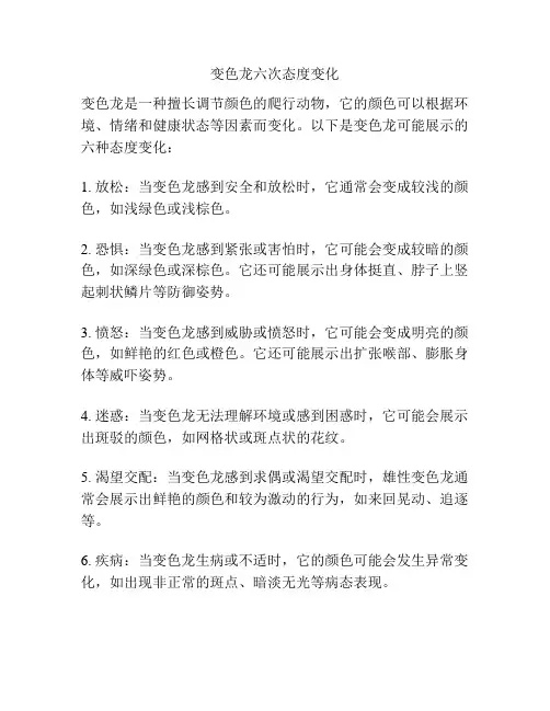 变色龙六次态度变化