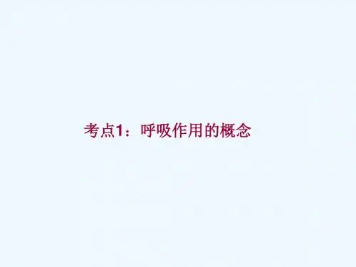 生物人教版七年级上册呼吸作用