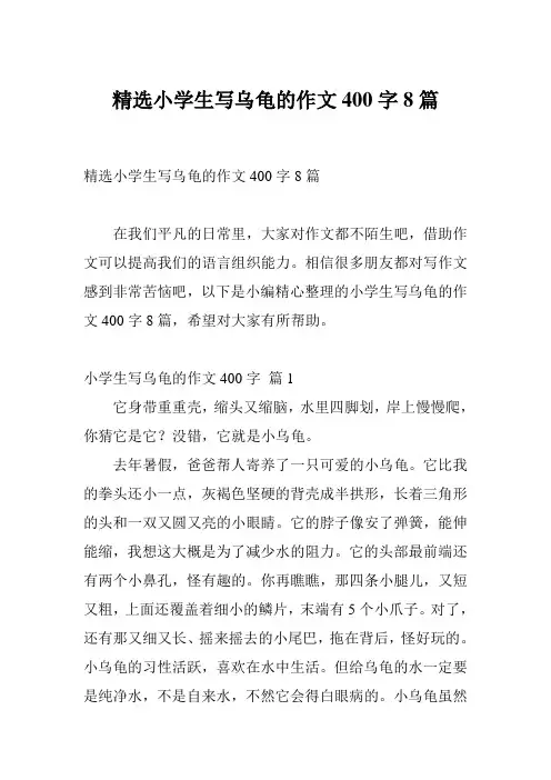 精选小学生写乌龟的作文400字8篇