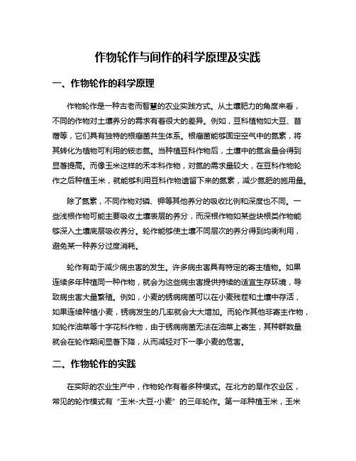 作物轮作与间作的科学原理及实践