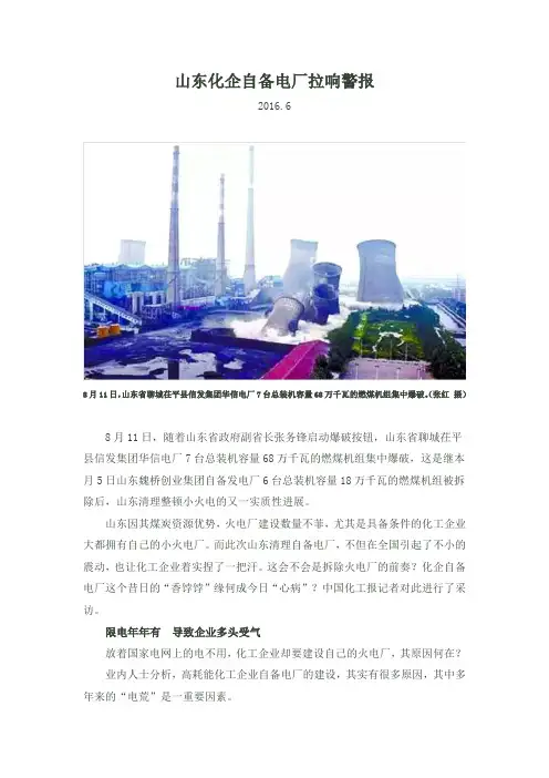 山东化企自备电厂拉响警报 -2016剖析