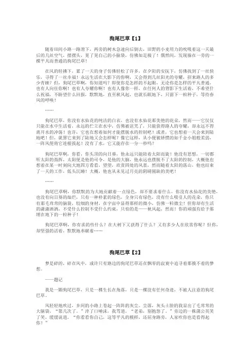 狗尾巴草作文
