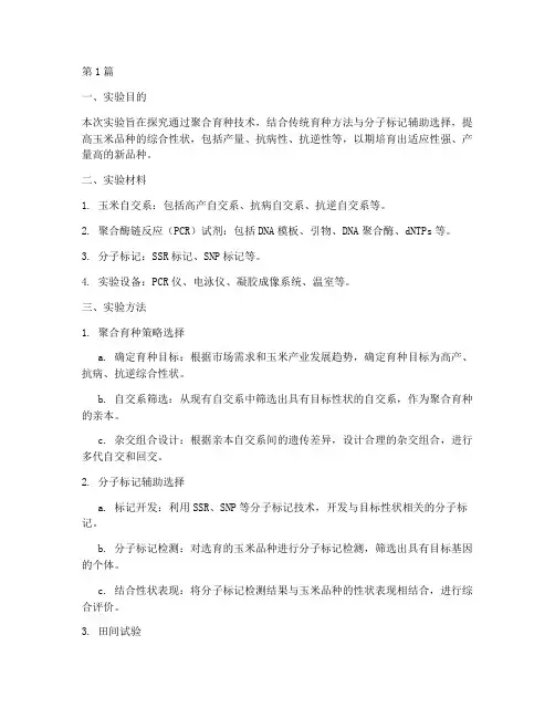 玉米聚合育种实验报告(3篇)