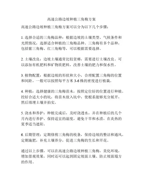 高速公路边坡种植三角梅方案