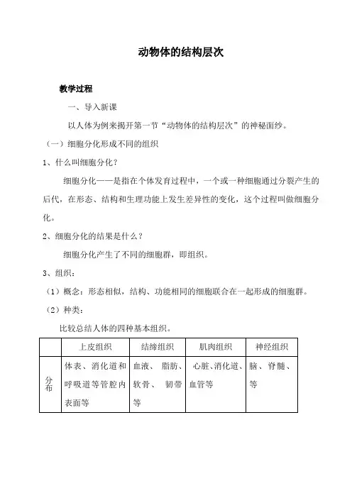 11动物体的结构层次 教案