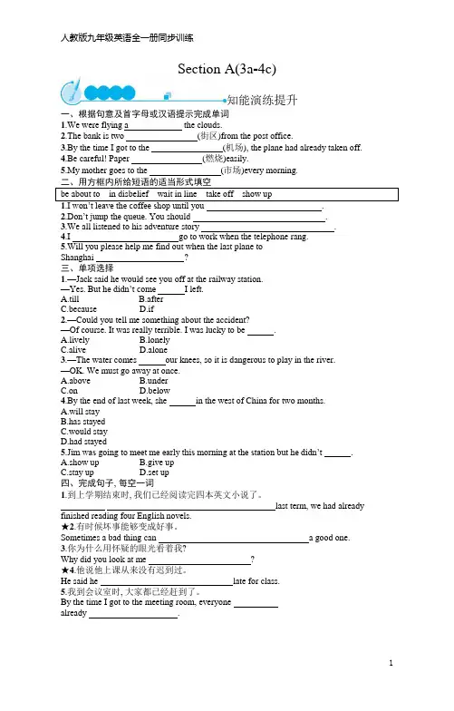 九年级英语全一册同步训练Unit 12  Section A(3a-4c)(含答案)