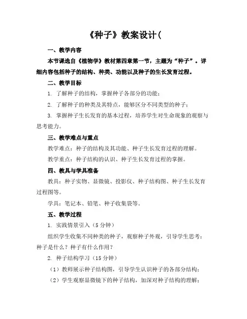 《种子》教案设计(