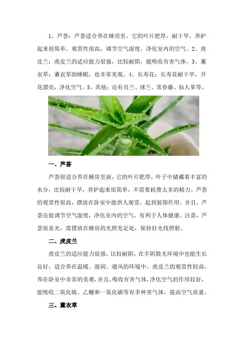 适合睡房养的植物排名