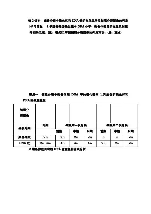 人教版  必修二 减数分裂中染色体和DNA等的变化规律及细胞分裂图像的判定  教案