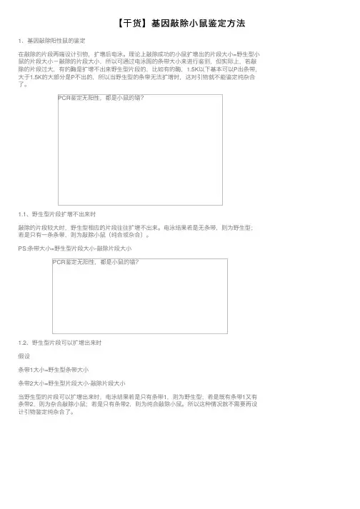 【干货】基因敲除小鼠鉴定方法