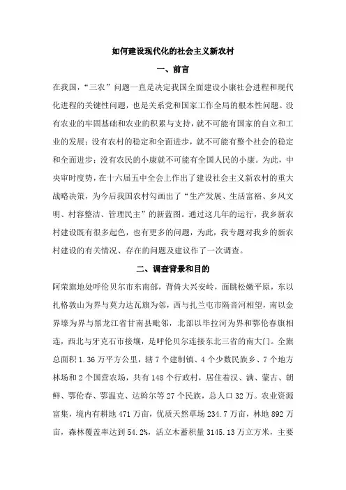 如何建设现代化的社会主义新农村